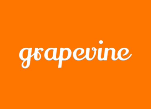 Anonymous Professional Network Grapevine Raises $4.1 Mn to Build AI-Led Career Platform
