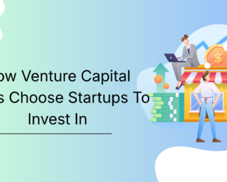 How Venture Capital Firms Choose Startups To Invest In