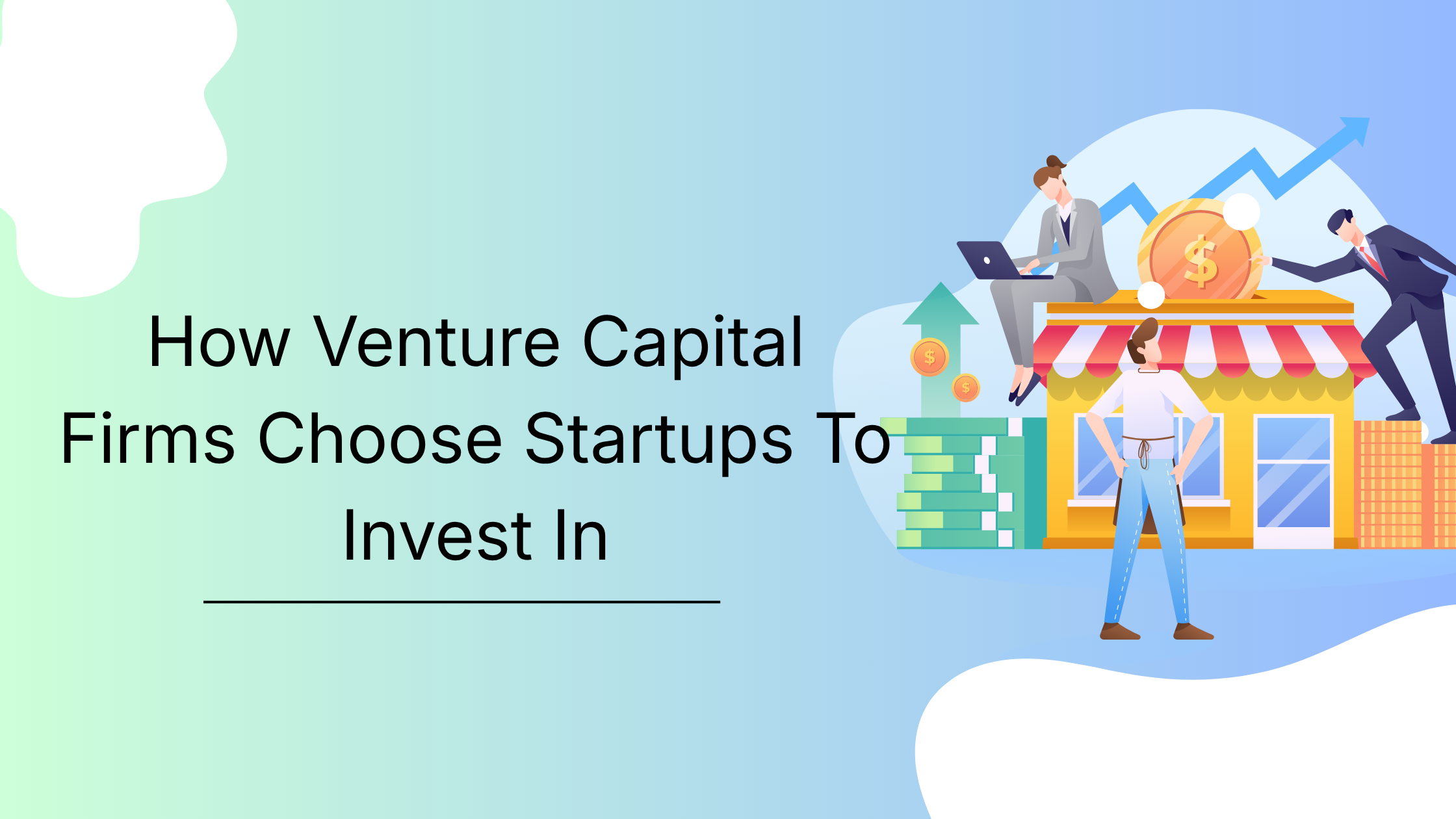 How Venture Capital Firms Choose Startups To Invest In